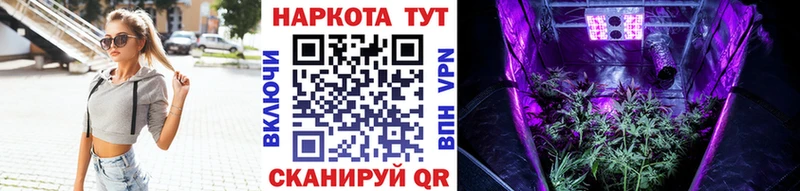 Где купить наркоту Александровское Бошки Шишки COCAIN ГАШИШ Codein Меф мяу мяу