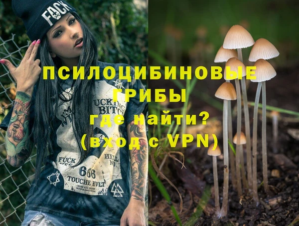 дмт Алзамай