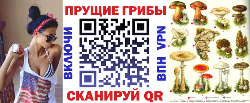Галлюциногенные грибы мицелий  Александровское 
